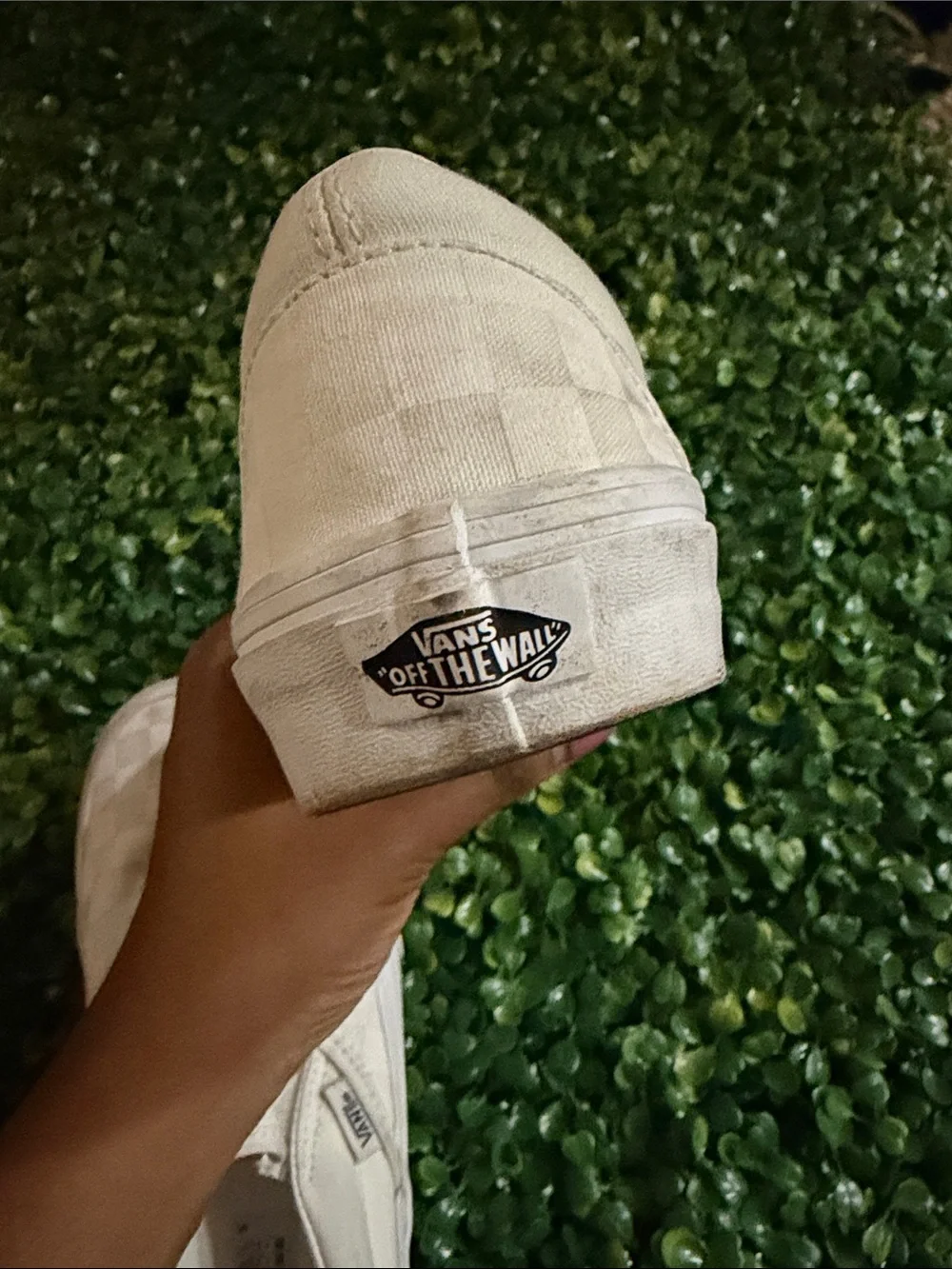Vans - Picture 5 of 6